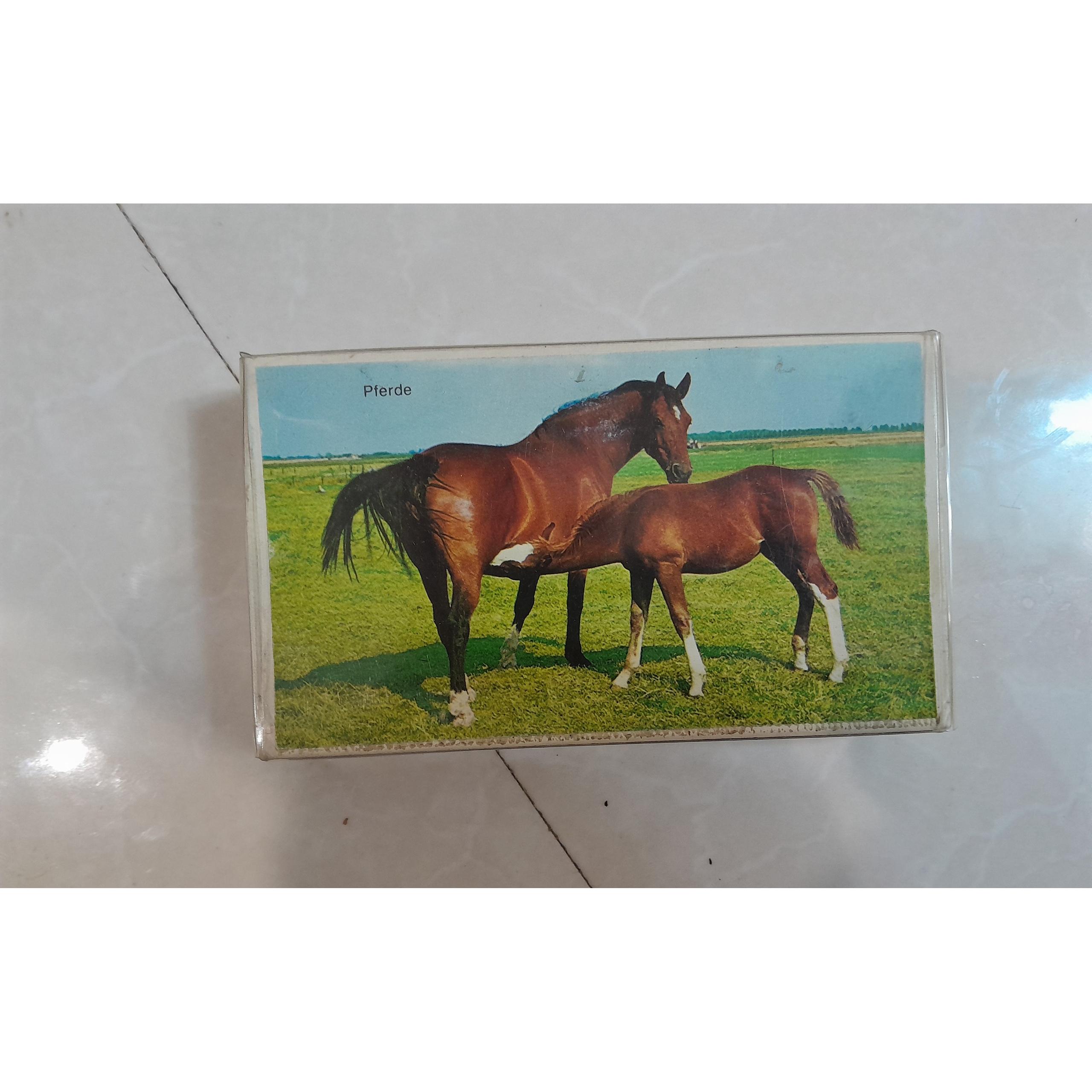 کبریت رومیزی بسیار زیبا با تصویر اسب