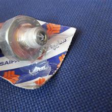 فشنگی