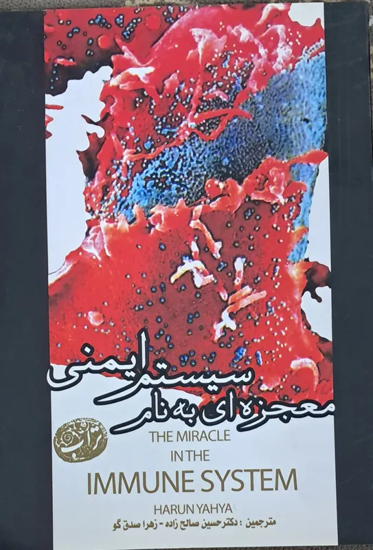 معجزه ای به نام سیستم ایمنی
