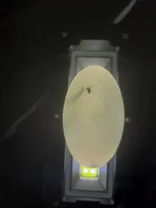 نگین