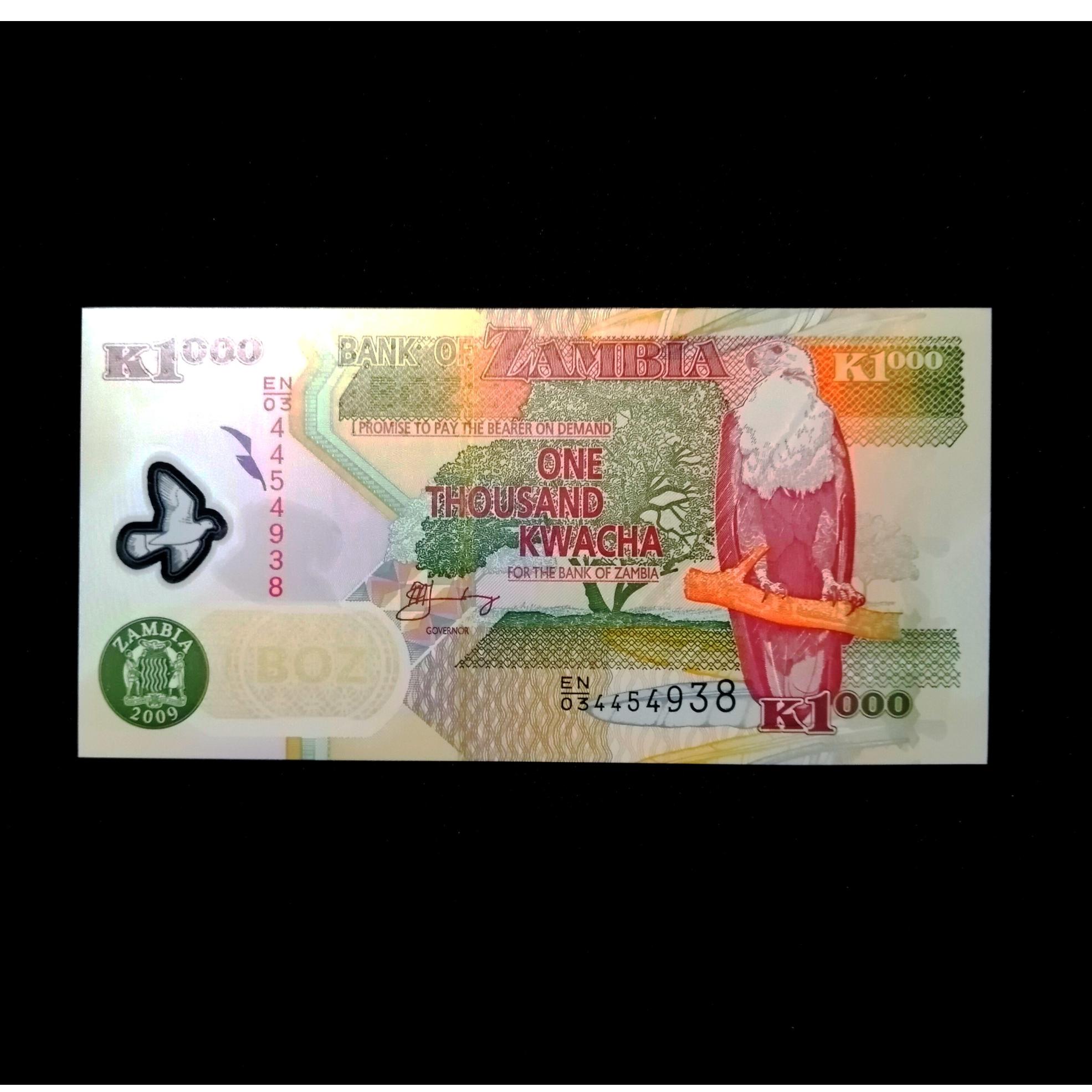 اسکناس 1000 کواچا زامبیا