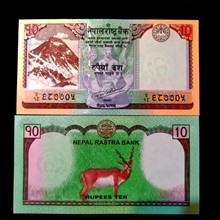 اسکناس