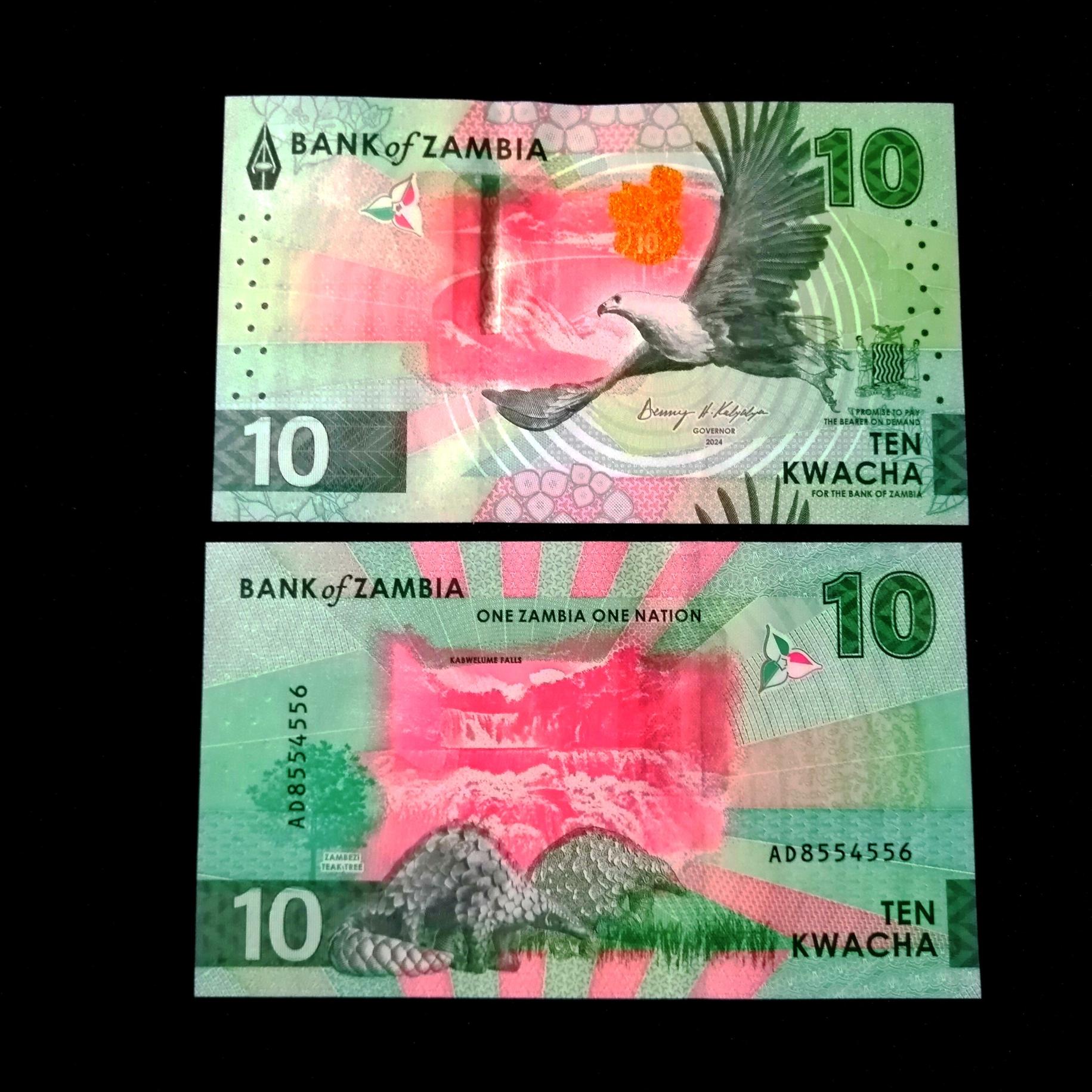 اسکناس 10 کواچا زامبیا
