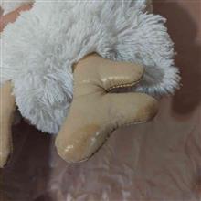 عروسک