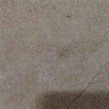 لباس