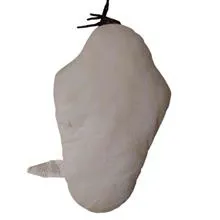 بالش