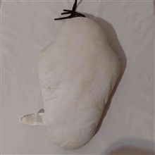 بالش