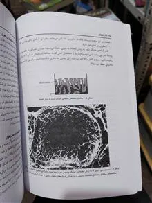 زعفران