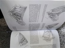 زنان