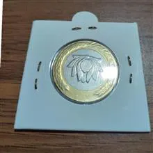 سکه