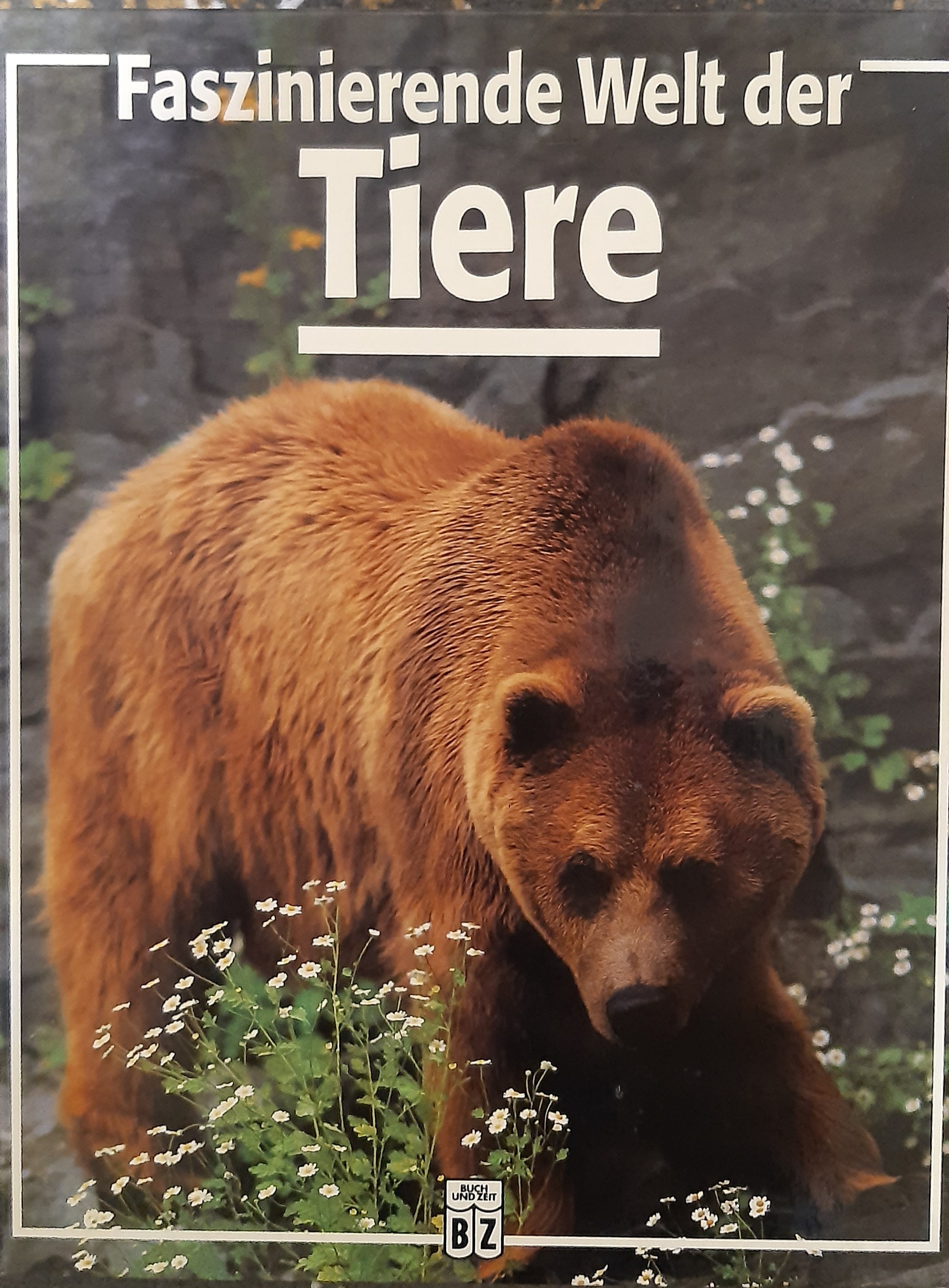 کتاب آلمانی اورجینال