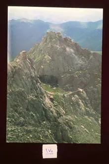 کارت