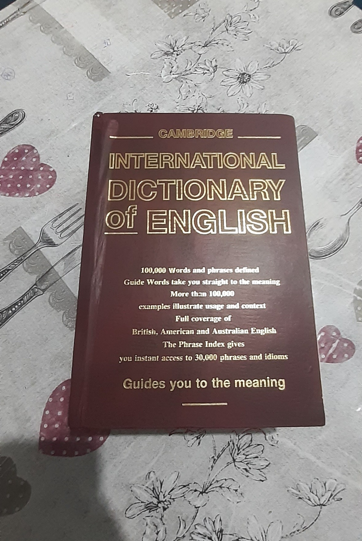 CAMBRIDGE INTERNATIONAL DICTIONARY OF