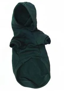 هودی