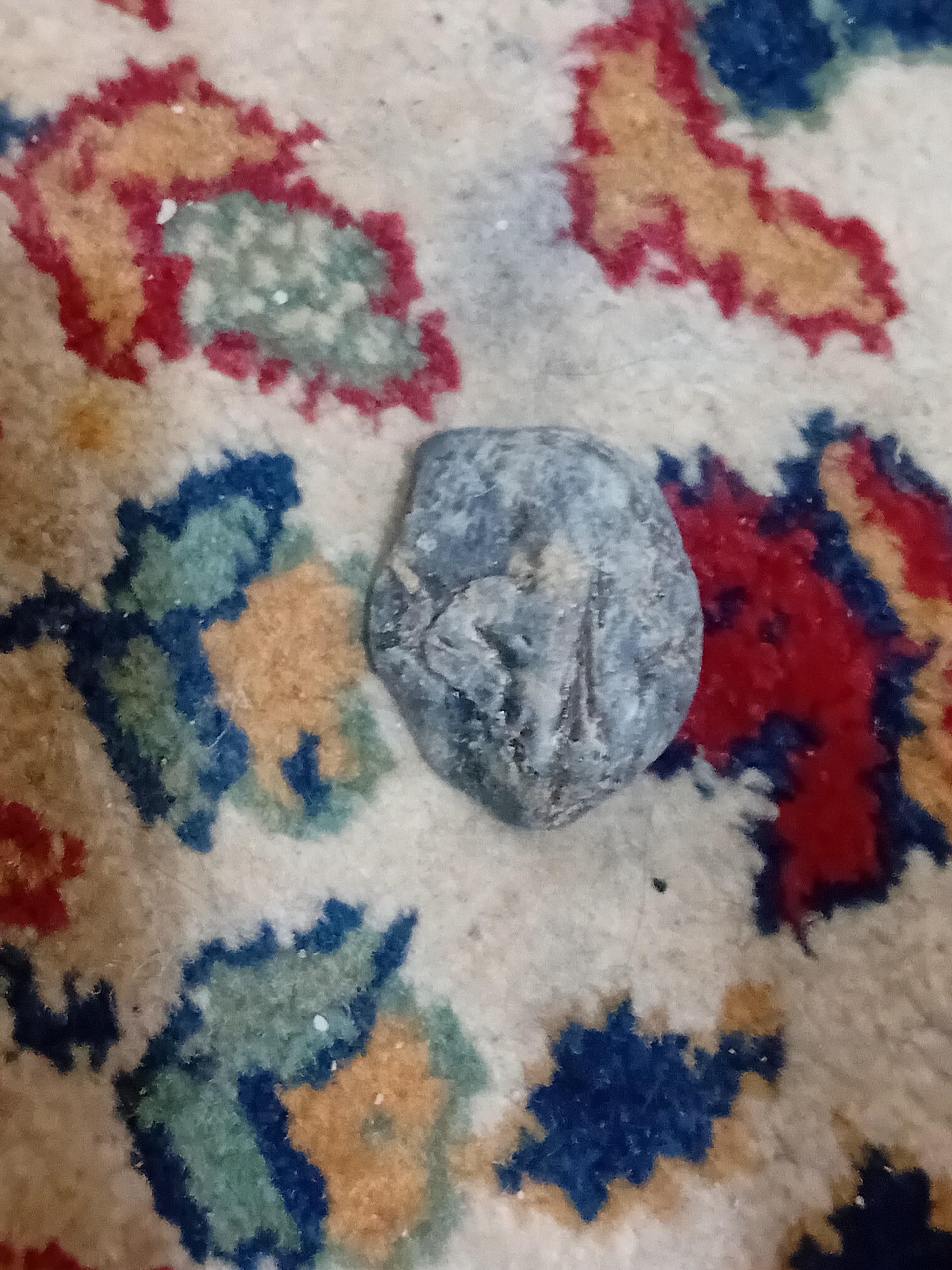 سنگ مشکوک احتمالی به شهاب سنگ ماه