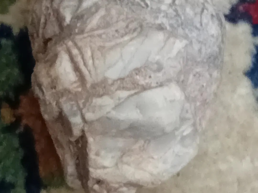 شهاب سنگ احتمالی ماه شمایلدارجمجمه