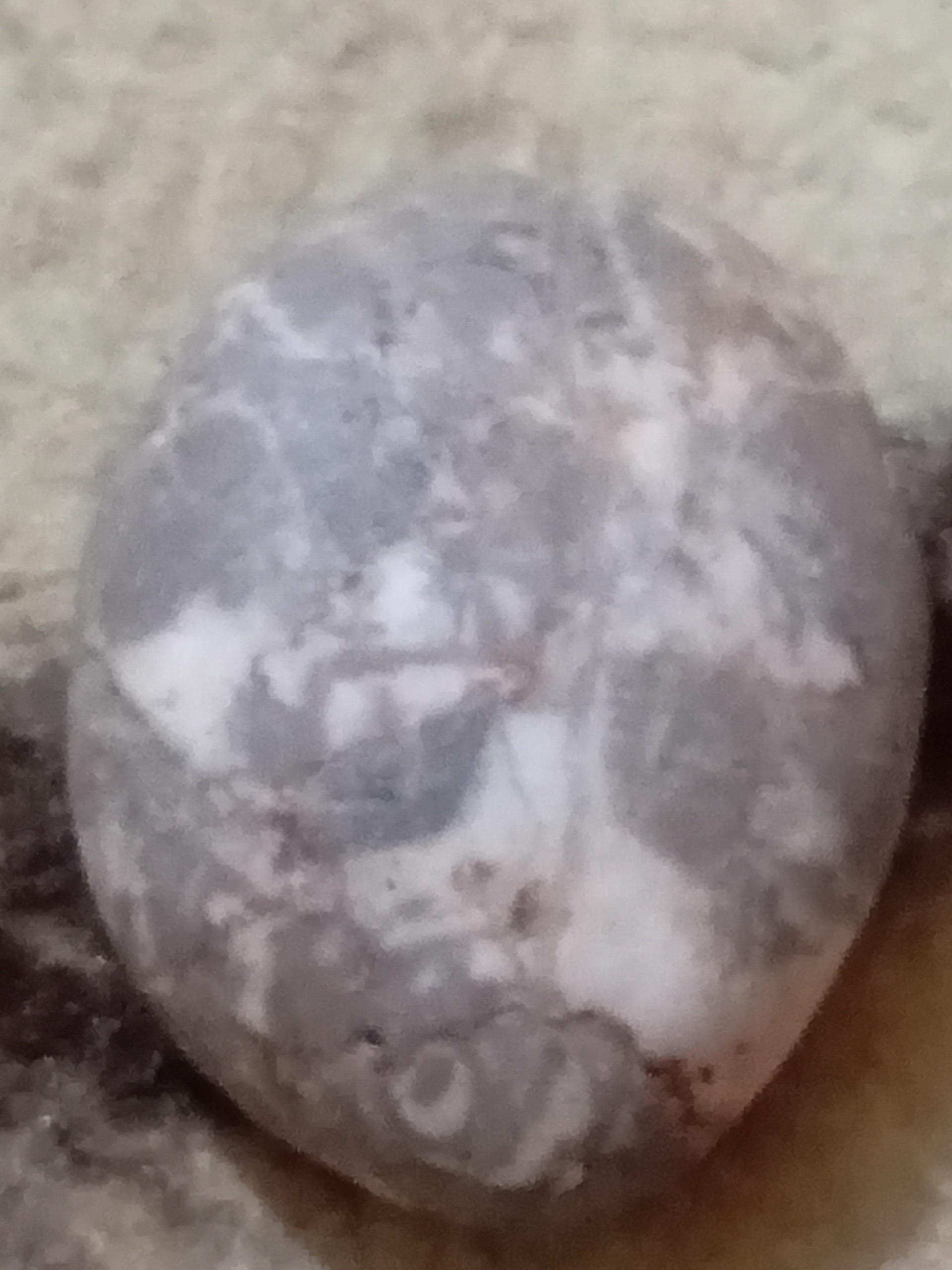 مهره سنگ گبری شجر فیروزه