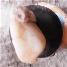مهره