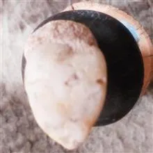 مهره