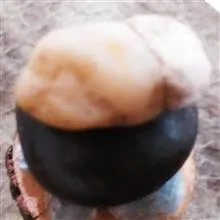 مهره