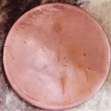 سکه