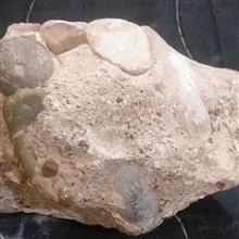 فسیل