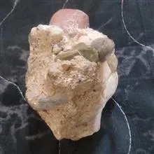 فسیل
