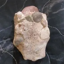 فسیل