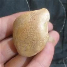 سنگ