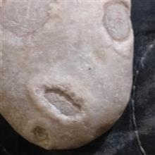 مهره
