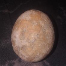 گوی