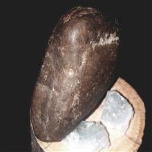 مهره