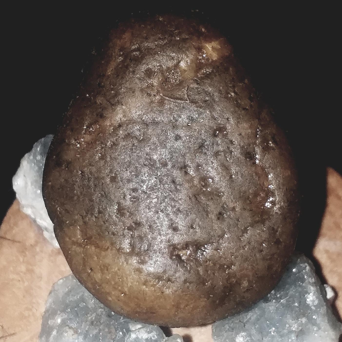 مهره سنگ باستانی اعجوبه مار سنگ کمیاب
