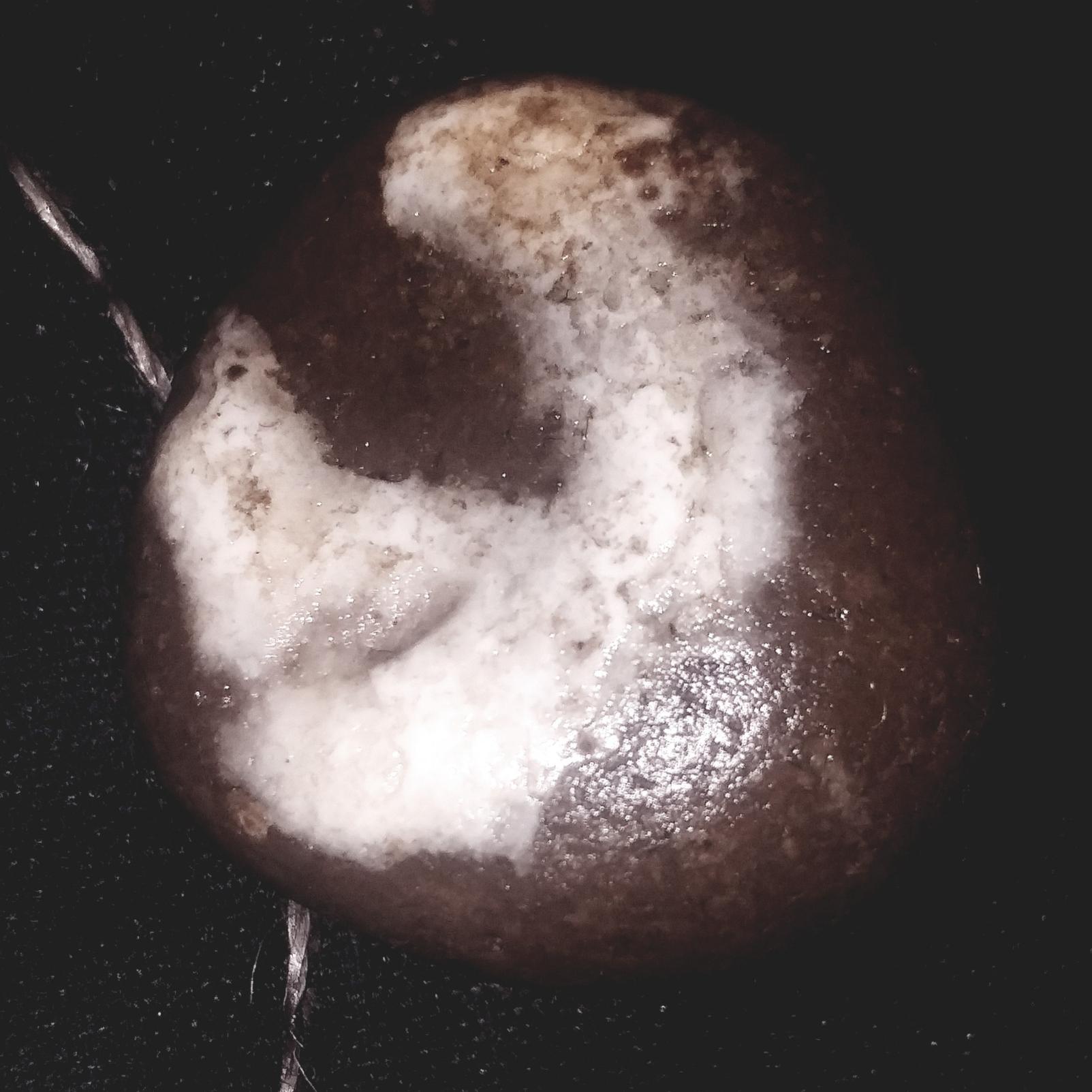 مهره سنگ باستانی اعجوبه اصالت دار گبری نشان دار
