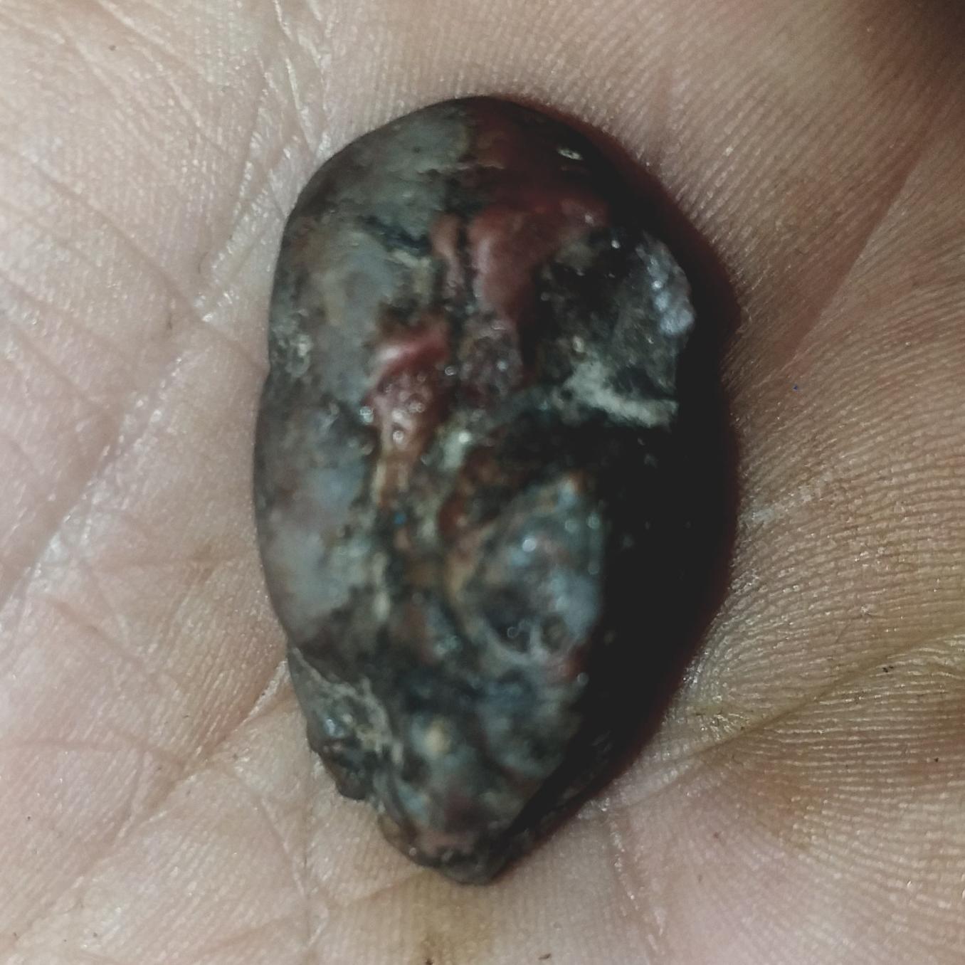 مهره سنگ باستانی اعجوبه رخ دارزوعه مارقرمزوحشی