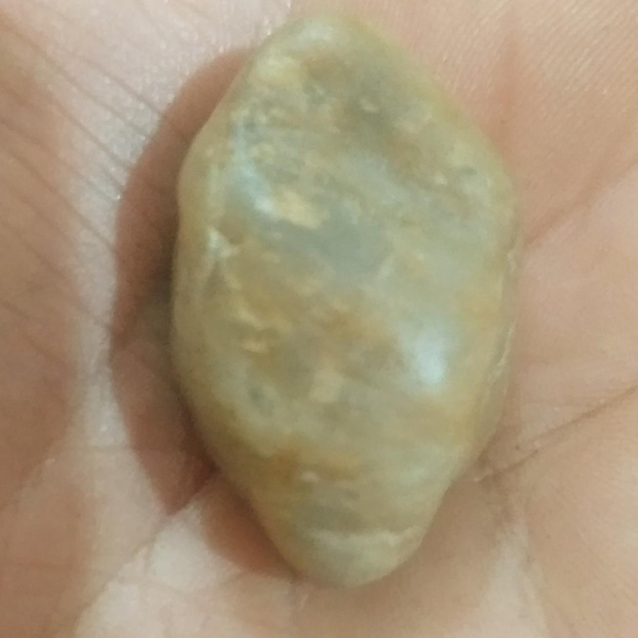 مهره سنگ راف باستانی اعجوبه جزیمنی کمیاب