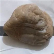 شهاب