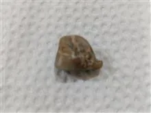مهرنشان