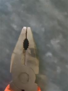 انبردست