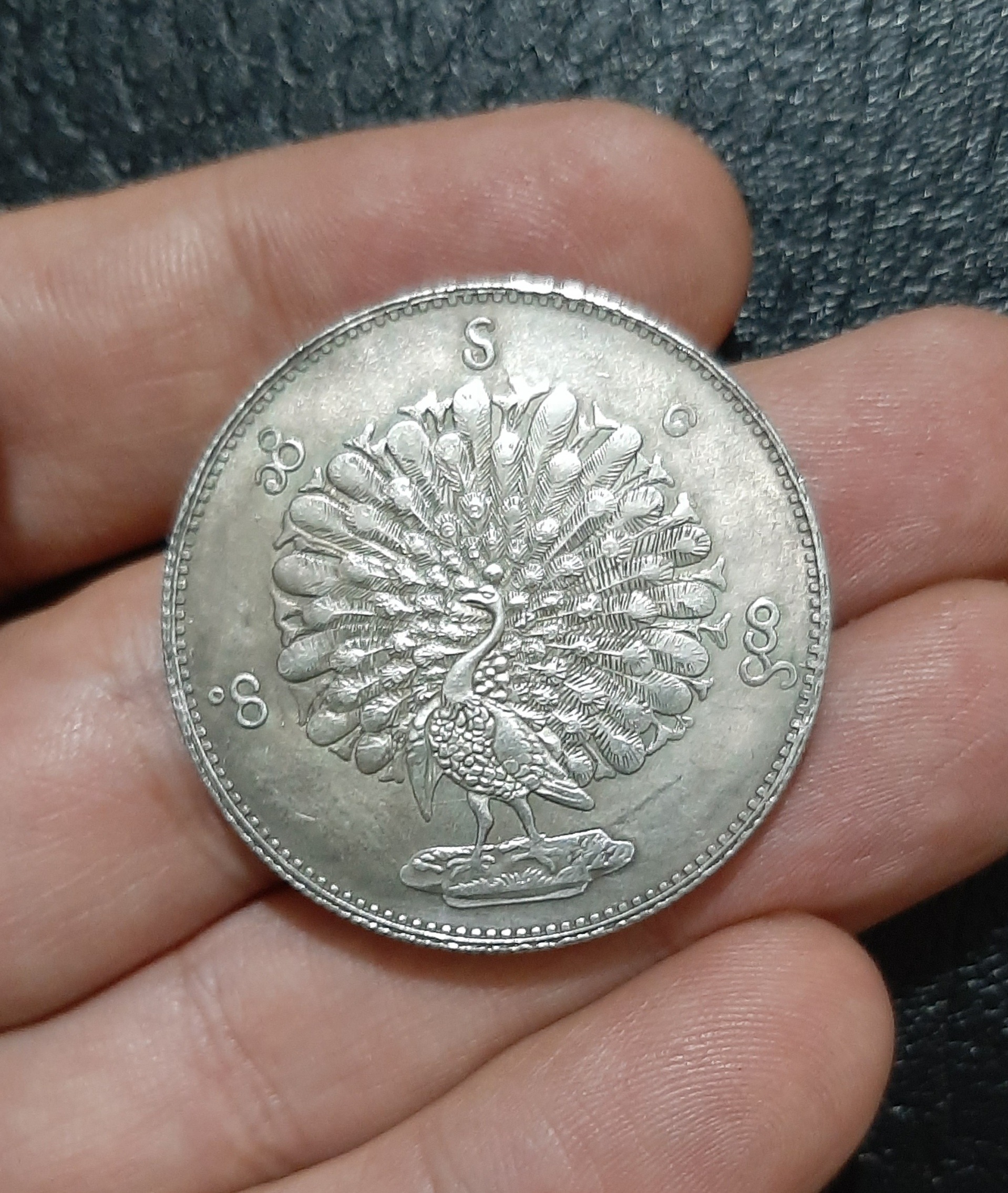 سکه طرح، سایز بزرگ، زیبا و کلکسیونی