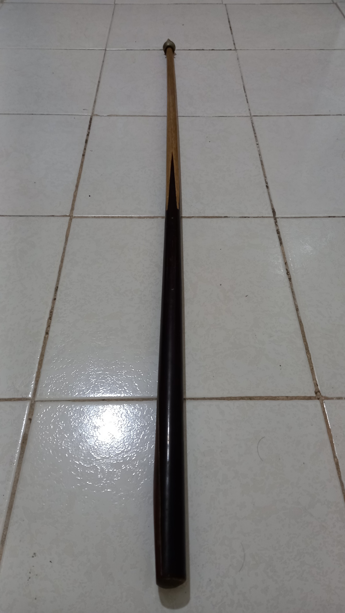 چوب عصا یا منتشر نقالی