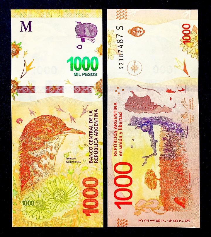 تک برگ بانکی اسکناس 1000 پزو آرژانتین