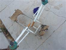 شبیه