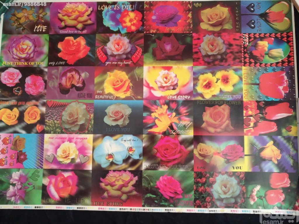 پوستر گلهای زیبای دهه 60 (سری 1)