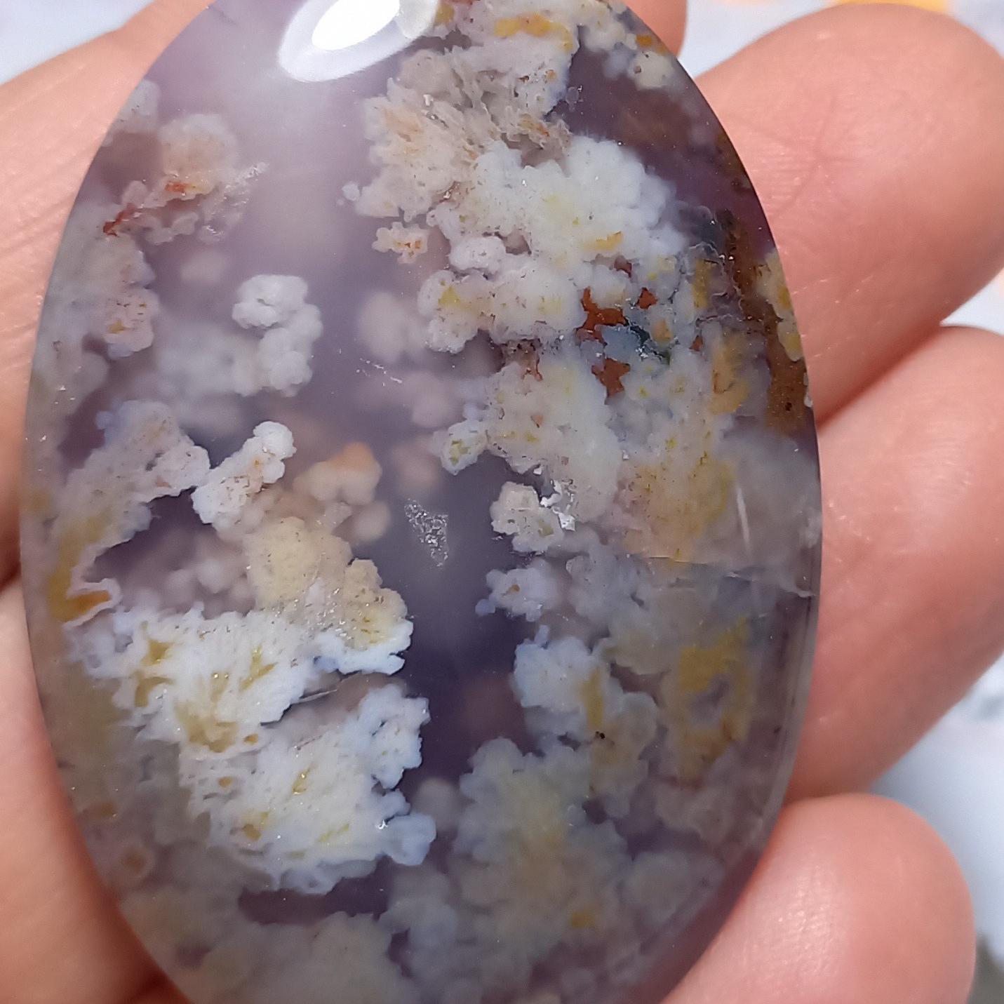 عقیق شجر کلکسیونی