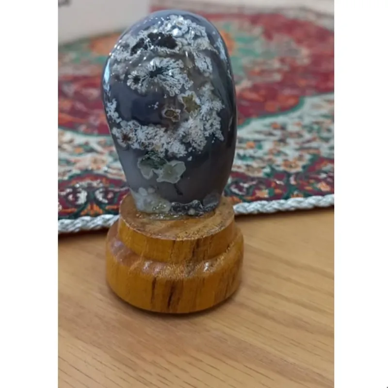 سنگ شجر پولیش خورده