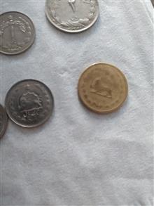 سکه