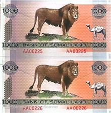 جفت