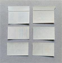 کلکسیون