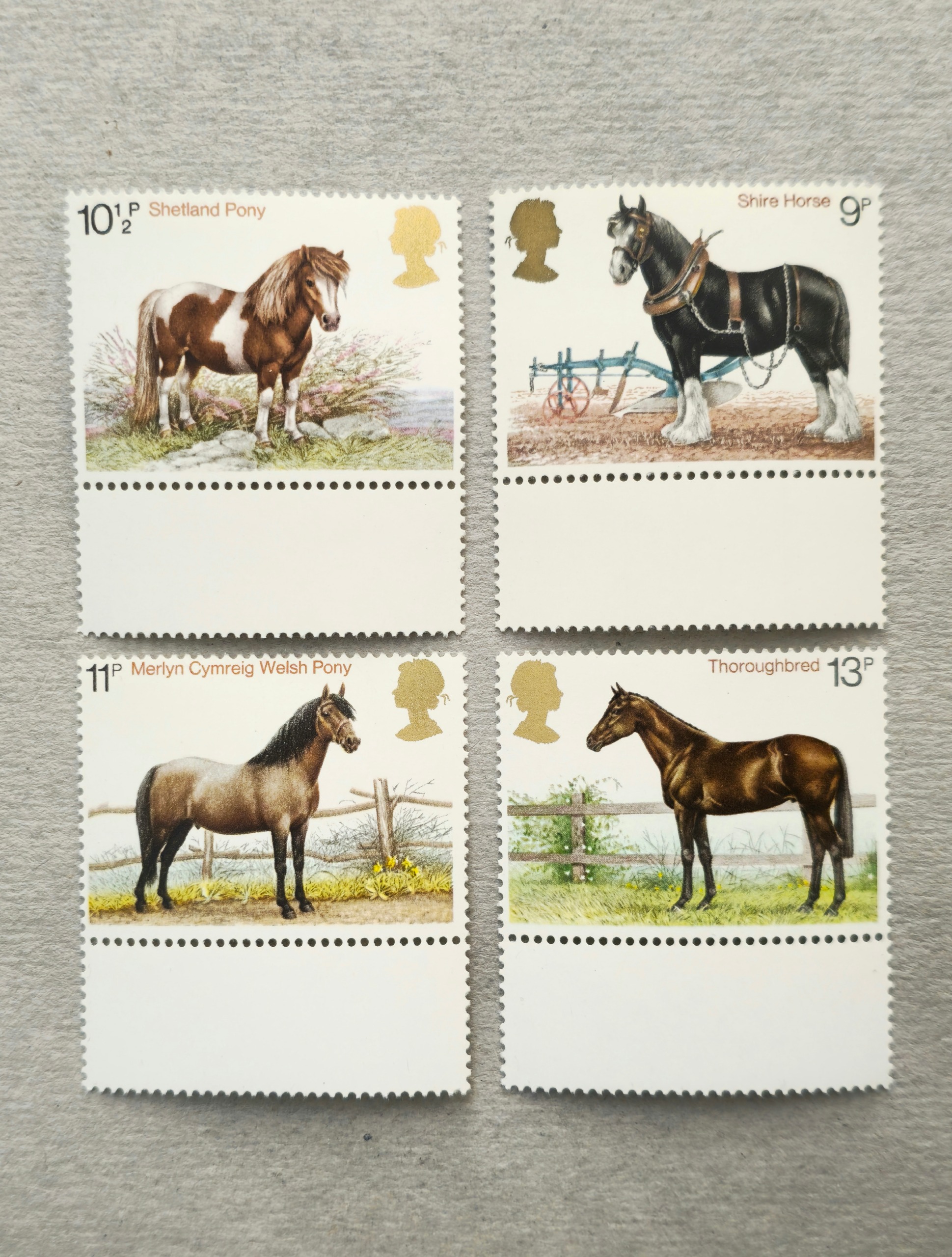 سری تمبر کمیاب نژادهای اسب بریتانیا 1978